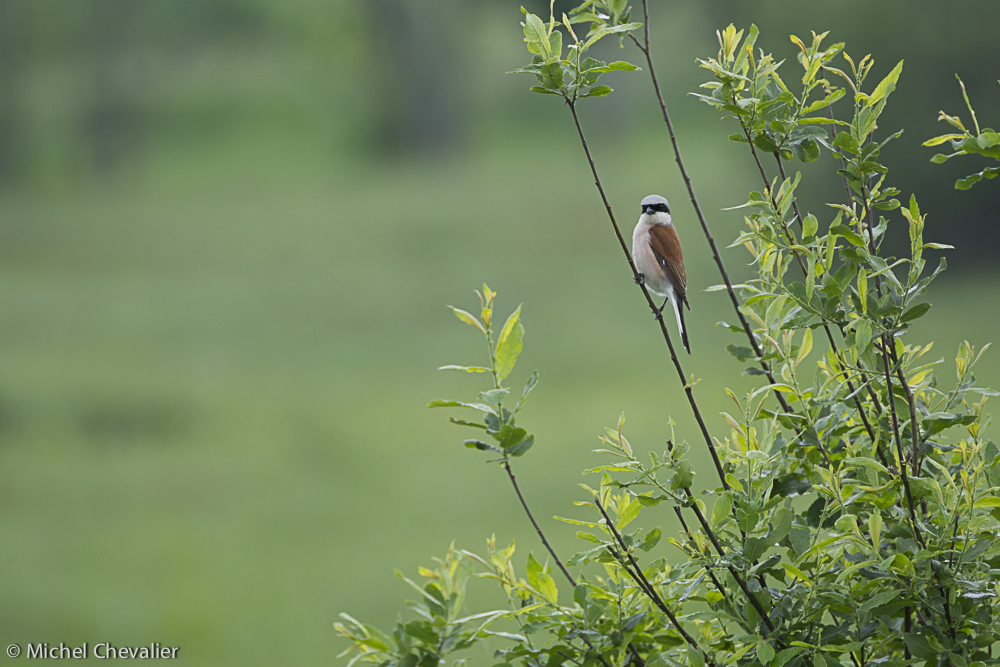 Pologne_2013-15 gallery