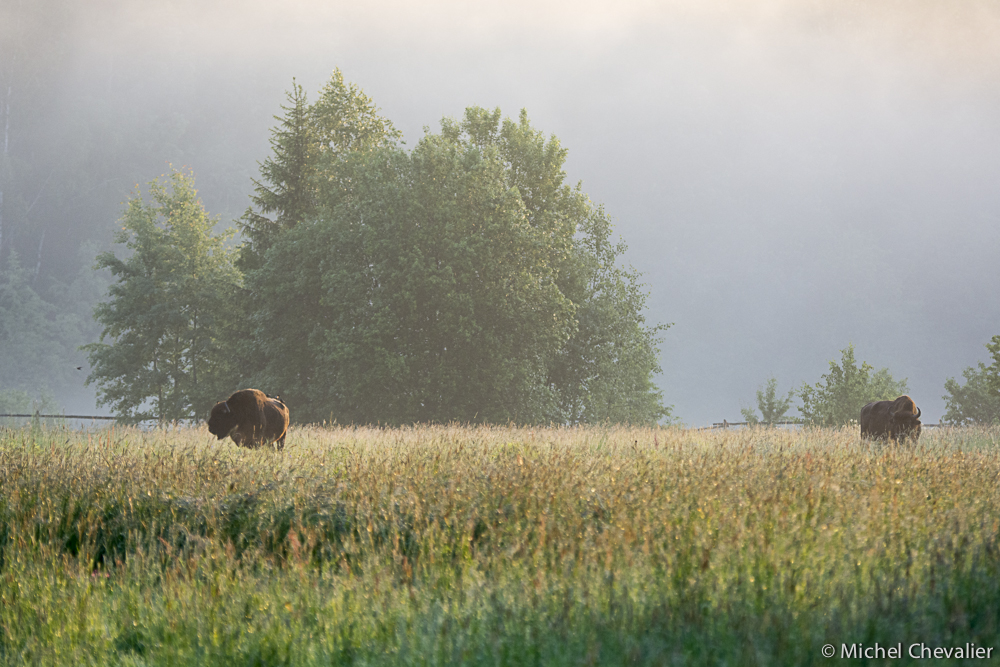 Pologne_2013-17 gallery