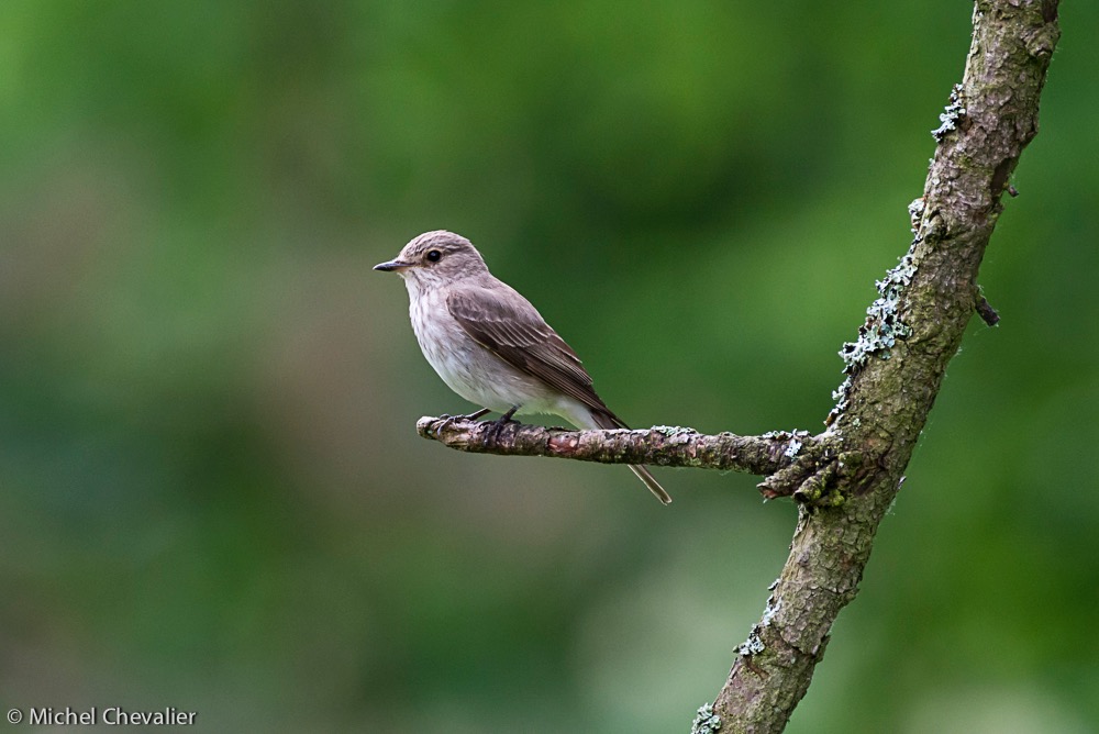 Pologne_2013-23 gallery