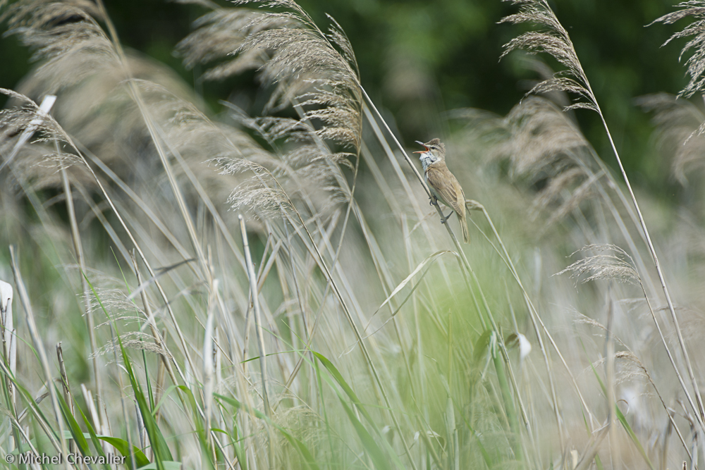 Pologne_2013-4 gallery